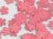 SCRAPKI KWIATY KWIATKI 1,6 CM OKAZJA 100 SZT