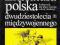 LITERATURA POLSKA XX-lecie międzywojenne Wroczyńsk