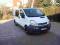 OPEL VIVARO 1/2004r 1.9DCI 6 OSOB BEZWYPADKOWY