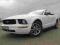 FORD MUSTANG CABRIO BIALY CARBON WYNAJEM SLUB