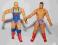 WWE-WRESTLING-ZAWODNICY DO KOLEKCJONOWANIA-AMERYKA