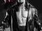 WWE - Wrestling - Undertaker - plakat 40x50 cm