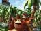 NINTENDO Donkey Kong Returns - plakat 91,5x61 cm