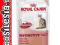 ROYAL CANIN INSTINCTIVE GALARETKA 85g SASZETKA KOT