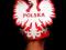 ORZEŁ KIBICA POLSKI POLSKA EURO 2012