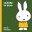 MIFFY W ZOO Premiera w Polsce!