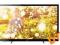 SONY KDL-55HX750 3D LED FULL HD 22/861-56-38 W-wa