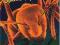 GUANO APES DON'T GIVE ME NAMES FOLIA CD N-GAMES