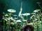 Neil Peart ''Anatomy of a Drum Solo'' HIT ! RAGOP