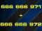 666 666 971 + 666 666 972 ZŁOTY NUMER MEGA PARA FV