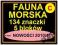 FAUNA MORSKA zestaw 134 znacz. i 5 bl. NOWOŚCI #8c