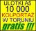 ulotki A5 10000 kolportaż GRATIS Toruń ! ulotka A5