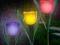 LAMPY SOLARNE OGRODOWE TULIPANY 6 SZT