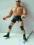 FIGURKA WWE WRESTLING