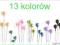 Szpilki Dekoracyjne 4cm 140szt 13Kolorów PROMOCJA