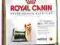 Royal Canin YORK Yorkshire ADULT 0,5kg NAJTANIEJ!