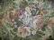 GOBELINOWY OBRUS !! 134x190
