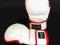 RĘKAWICE MMA WHITE EVOLUTION roz. M RĘKAWICE MMA WHITE EVOLUTION roz. M