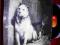 PAVLOV'S DOG /SURKAMP - PAMPERED MENIAL LP /c164