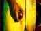 WISHBONE ASH - THERE'S THE RUB LP PERSEPHONE /c221
