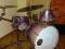 Mapex Saturn WALNUT MAPLE .......................