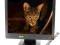 ASUS MM19SE 19"KLEP FV