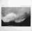 Masqualero - Re-Enter LP(NOWE) ###################