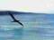 Chick Corea - Return To Forever LP(NOWE) #########