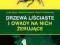 DRZEWA LIŚCIASTE I OWADY NA NICH ŻERUJĄCE 200 Owa