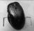 MYSZ LOGITECH G500 Gaming Mouse