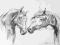 Rysunek ,,Konie,, ,,Koń,,