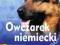 Owczarek niemiecki - Poradnik opiekuna NOWA!