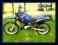 !!! CAGIVA W8 125 !!!