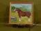 STARY OBRAZ KLACZ KASZTANKA / RAMA