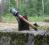 granat ręczny trzonkowy M24 Wz.-24 KONKRET - NOWY