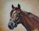 Koń,portret,obraz olejny,50x60cm,ARTE
