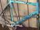 BIANCHI EV3 RAMA WIDELEC CARBON CHORUS ULTEGRA