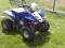 QUAD Bashan 200