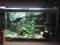 akwarium z wyposazeniem