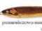 OKAZJA ! PILKER CORMORAN Fish Head 250g 56-92252