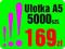 Ulotka A5 5000 szt. kolor ulotki EKSTRA JAKOŚĆ !