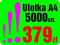 Ulotka A4 5000 szt. kolor ulotki EXTRA JAKOŚĆ !
