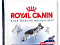 Royal Canin Maxi Adult 15kg GLIWICE !