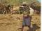 Kamerun pasterz bydło pocztówka Afryka