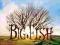 DUŻA RYBA (Big Fish) - BLU-RAY NOWY