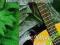 Natural Instrument Series Natural Guitar