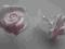 Róża różyczka jasno różowa (2szt)