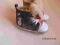 buty dla malucha r.19