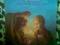 MOODY BLUES - 4 winyle