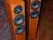 Audio Physic Spark III  + Van Den Hul CS 122
